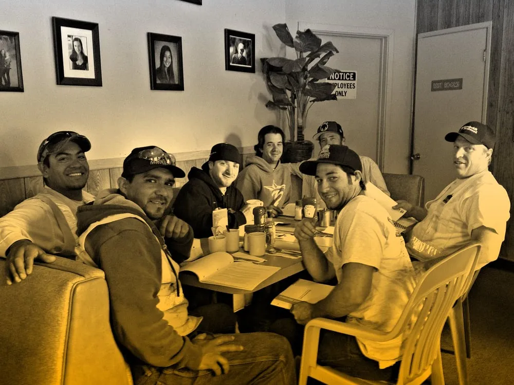 Custom yard cleanup service for homes in Petaluma, CA by Sonoma-Marin Arborists