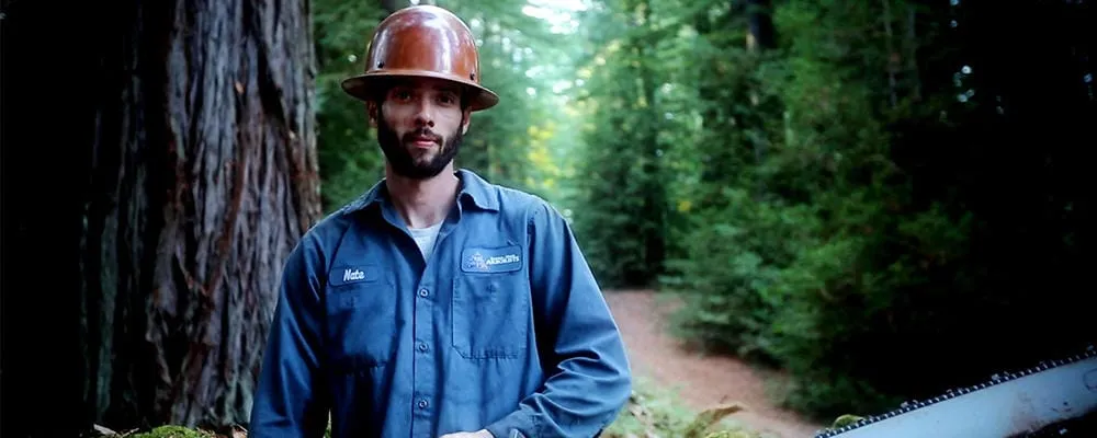 Reliable lawn care service in Petaluma, CA - Sonoma-Marin Arborists