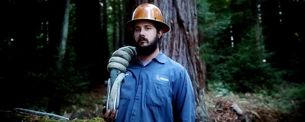 Reliable outdoor landscaping experts serving Petaluma, CA - Sonoma-Marin Arborists