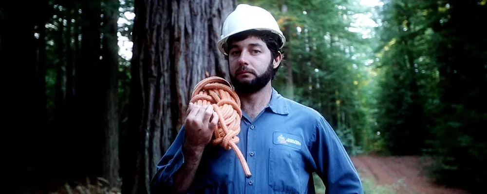 Custom landscaping services in Petaluma, CA by Sonoma-Marin Arborists