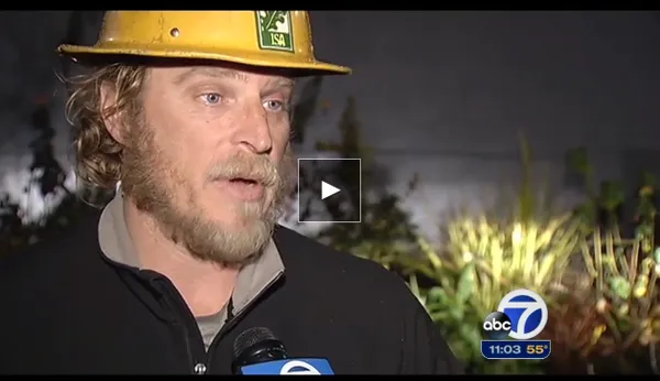 Sonoma-Marin Arborists Logo