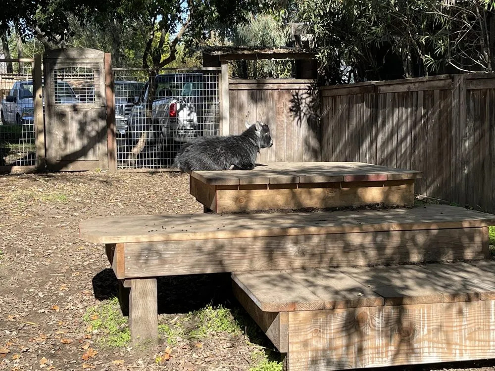 Custom lawn care service experts serving Sonoma, CA - Sonoma Mission Gardens