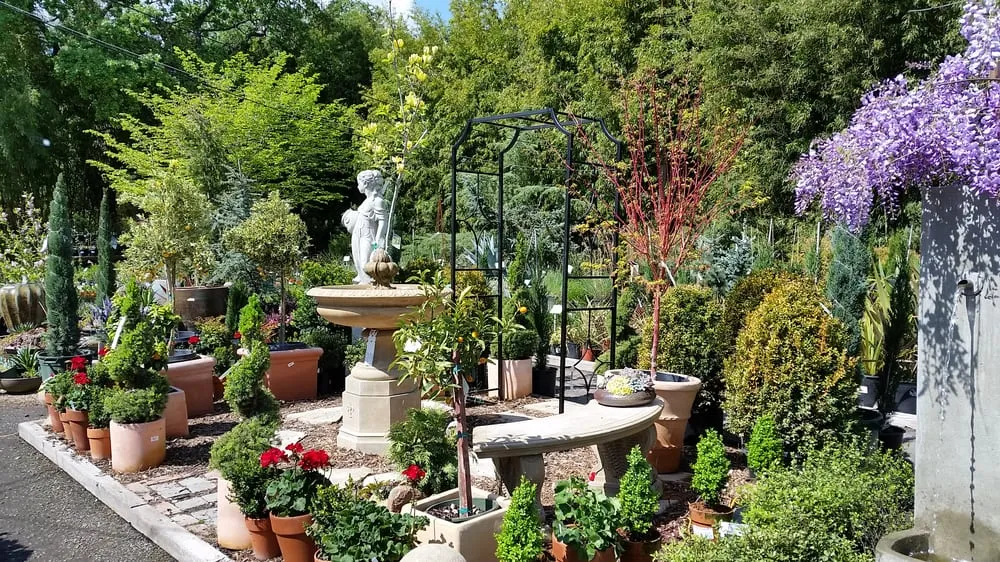 Reliable residential landscaping in Sonoma, CA - Sonoma Mission Gardens