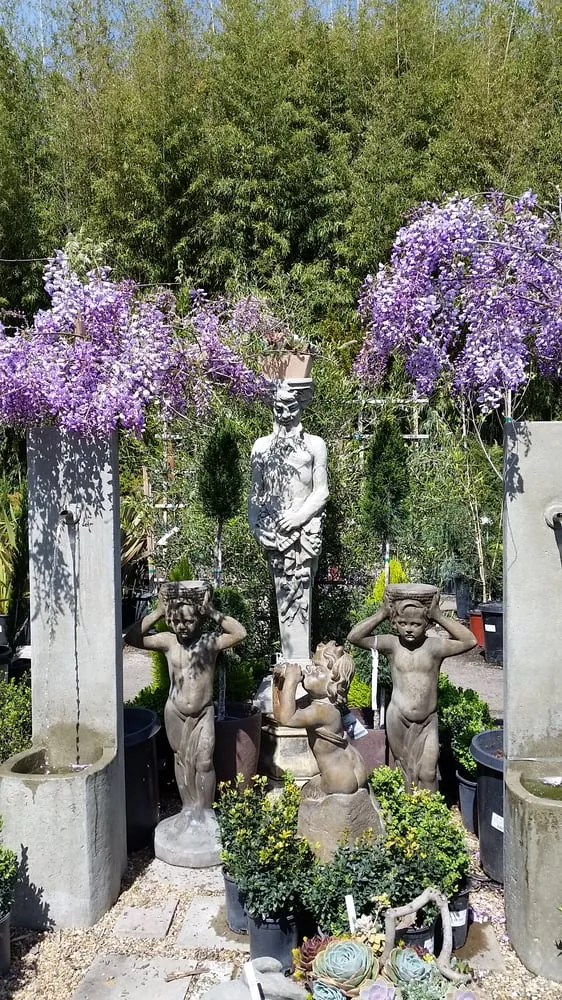 Top-rated residential landscaping experts serving Sonoma, CA - Sonoma Mission Gardens