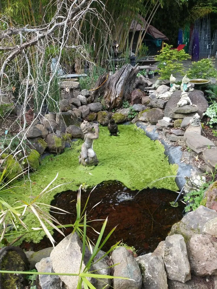 Custom outdoor landscaping in Sonoma, CA by Sonoma Mission Gardens