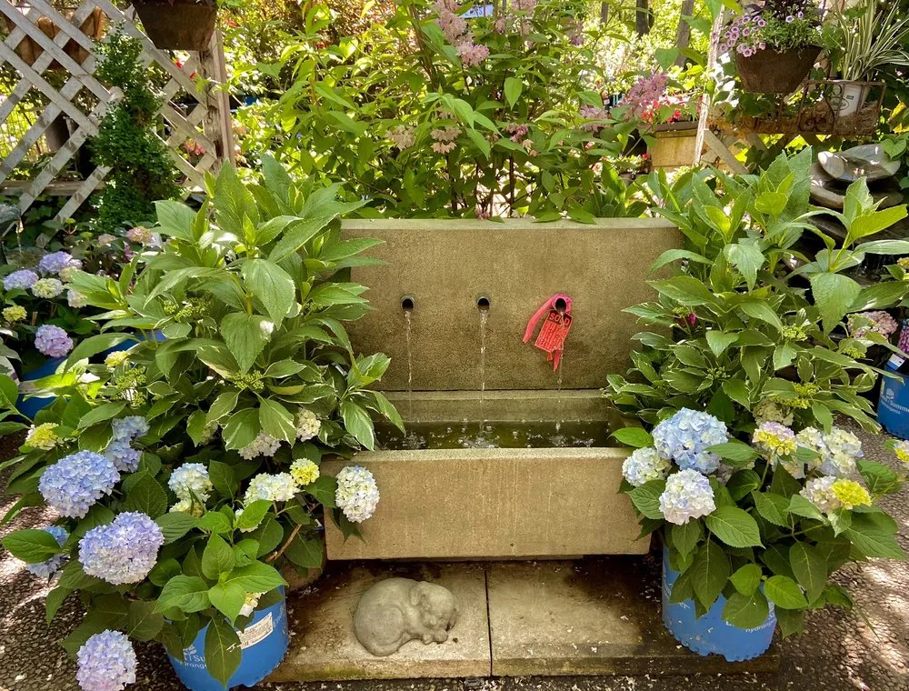 Expert outdoor landscaping in Sonoma, CA by Sonoma Mission Gardens