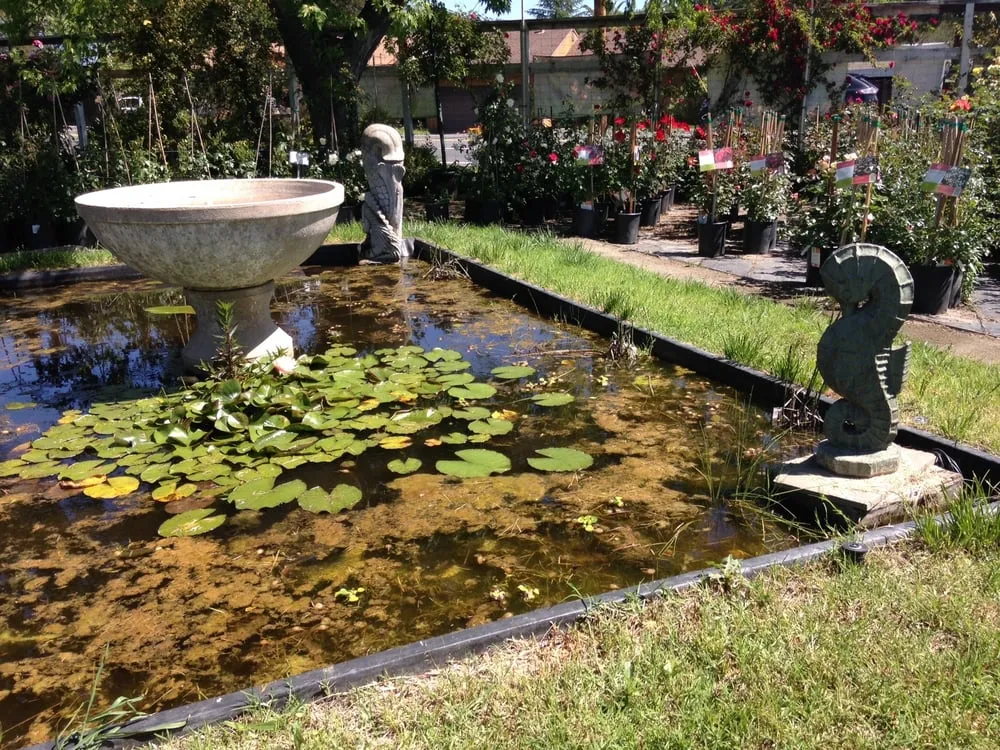 Reliable landscaping services in Sonoma, CA - Sonoma Mission Gardens