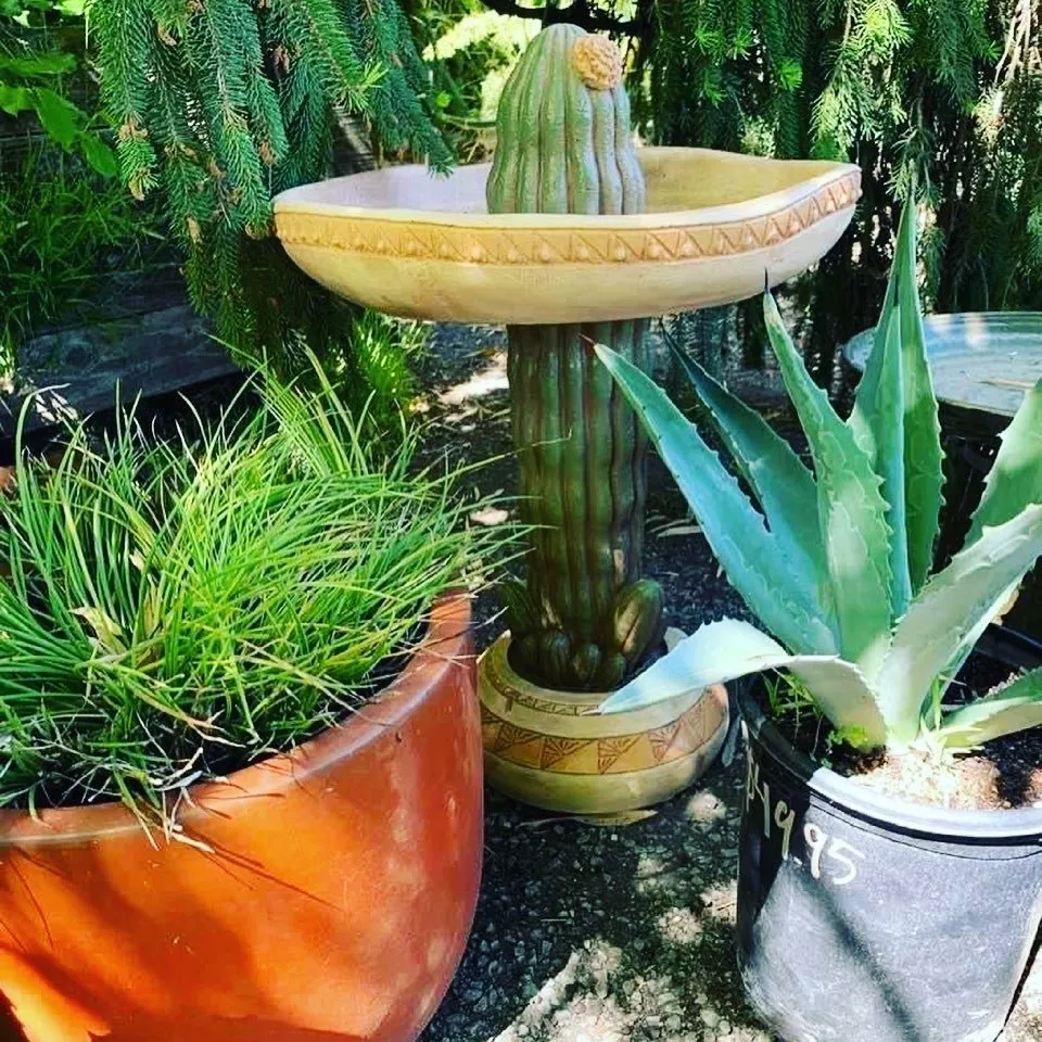 Trusted landscaping services for residential properties in Sonoma, CA by Sonoma Mission Gardens