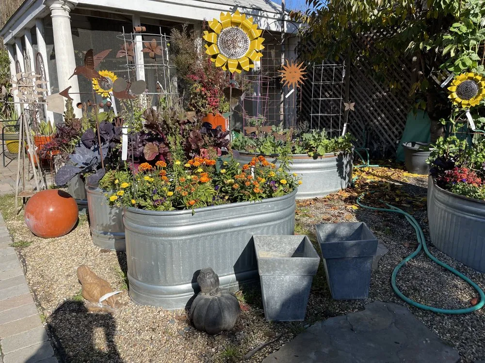 Affordable yard cleanup service in Sonoma, CA by Sonoma Mission Gardens