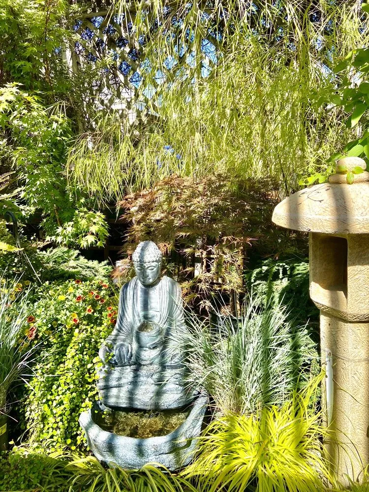 Local yard maintenance for beautiful yards in Sonoma, CA by Sonoma Mission Gardens