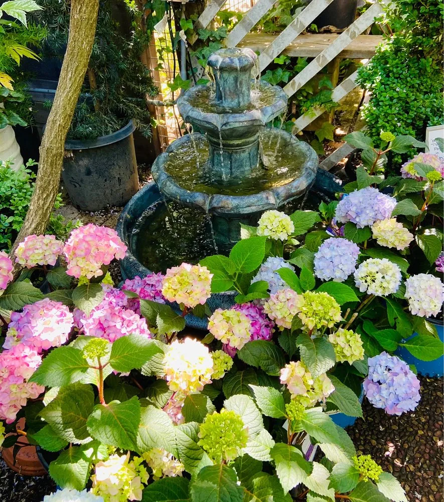 Top-rated landscape design in Sonoma, CA - Sonoma Mission Gardens