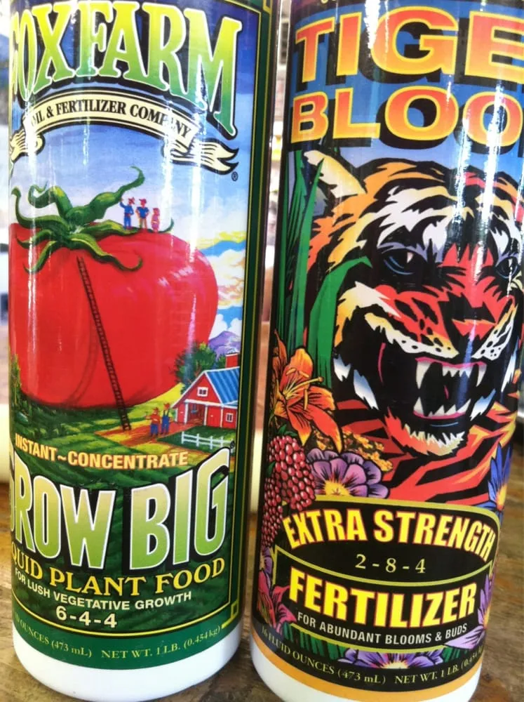 Trusted outdoor landscaping for homes across Sonoma, CA - Sonoma Mission Gardens