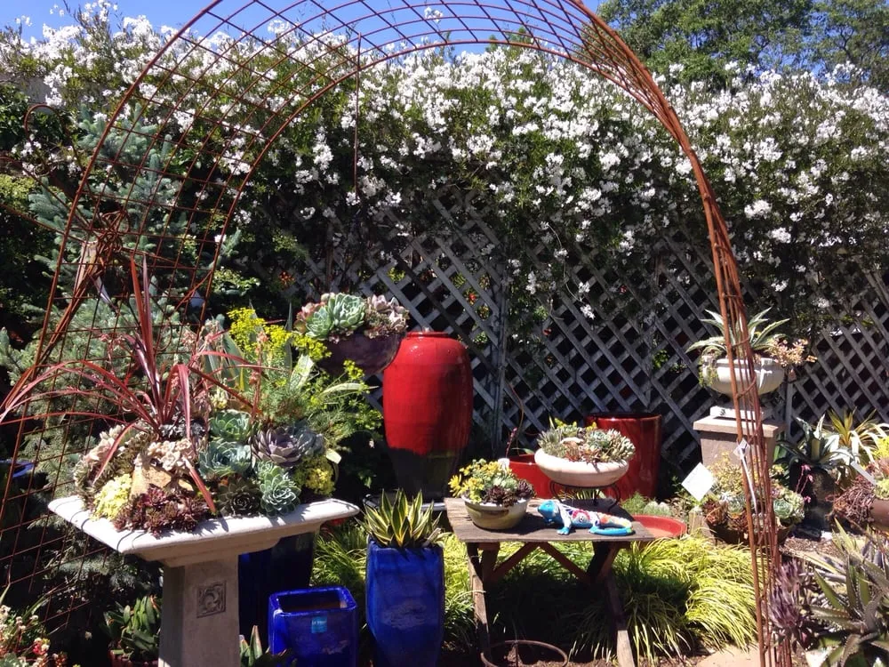 Reliable lawn mowing service in Sonoma, CA by Sonoma Mission Gardens