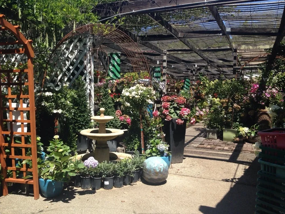 Professional landscape installation experts serving Sonoma, CA - Sonoma Mission Gardens