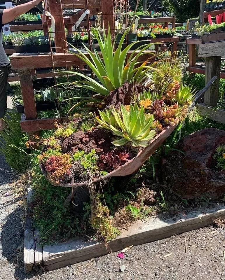 Custom landscape design experts serving Sonoma, CA - Sonoma Mission Gardens