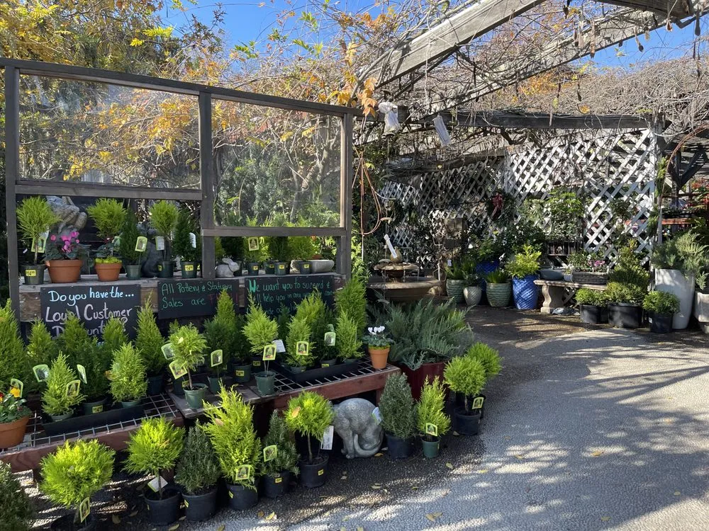 Professional landscape installation near you in Sonoma, CA by Sonoma Mission Gardens