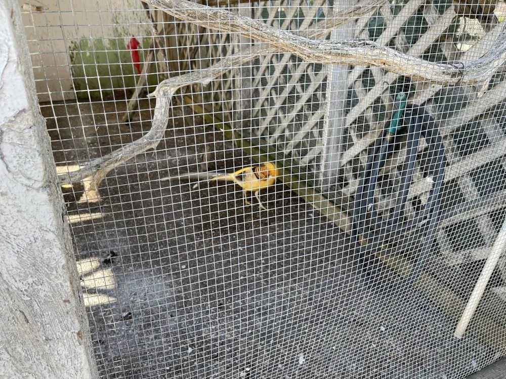 Professional landscaping services with custom design in Sonoma, CA by Sonoma Mission Gardens