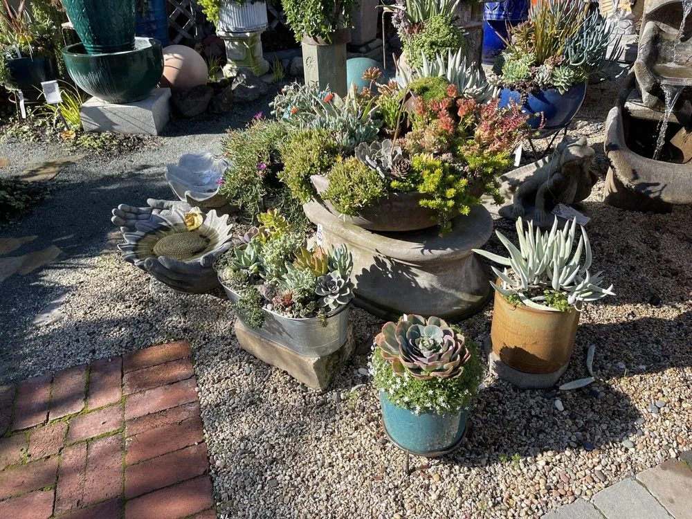 Affordable landscape design for residential properties across Sonoma, CA - Sonoma Mission Gardens