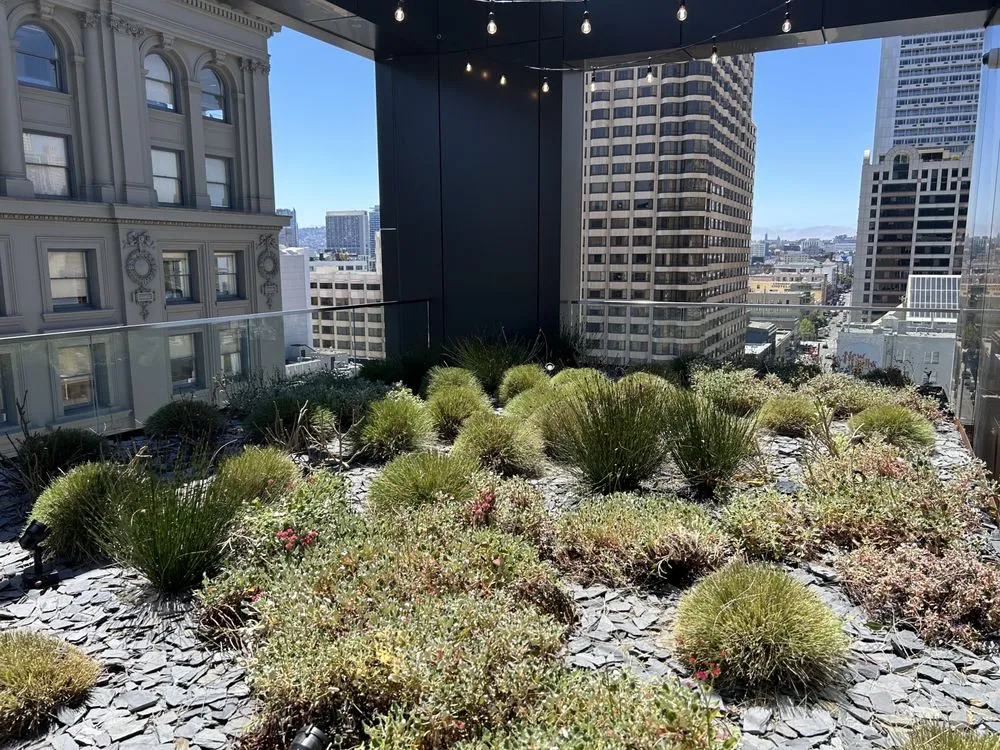 Local garden landscaping for beautiful yards in Forestville, CA by Sonoma Outdoor Escapes