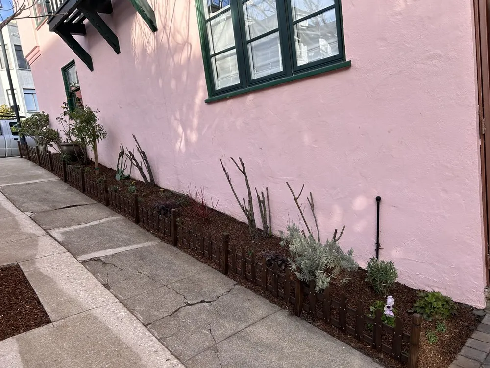 Affordable yard maintenance experts serving Forestville, CA - Sonoma Outdoor Escapes