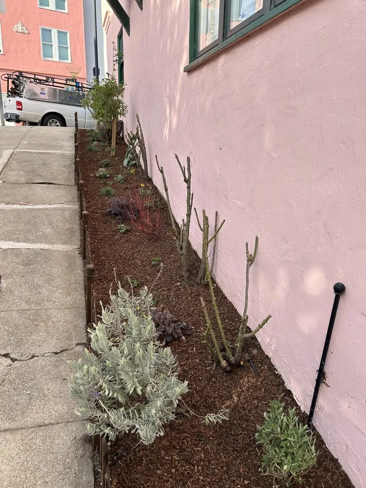 Reliable landscaping services in Forestville, CA - Sonoma Outdoor Escapes