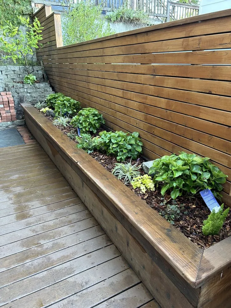 Custom yard maintenance for year-round maintenance across Forestville, CA - Sonoma Outdoor Escapes