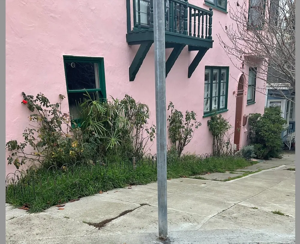 Professional residential landscaping experts serving Forestville, CA - Sonoma Outdoor Escapes