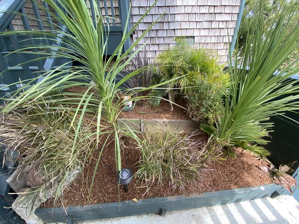 Local garden landscaping experts serving Forestville, CA - Sonoma Outdoor Escapes