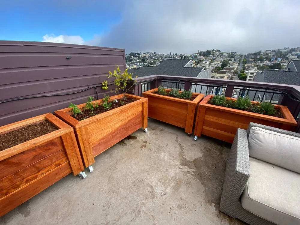 Trusted yard cleanup service in Forestville, CA by Sonoma Outdoor Escapes