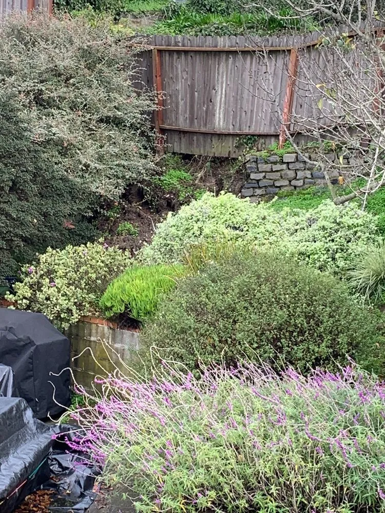 Local landscaping services in Forestville, CA by Sonoma Outdoor Escapes