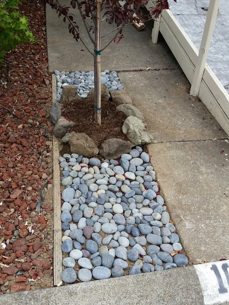 Affordable yard cleanup service near you across Ukiah, CA - Sonoma Sweepers