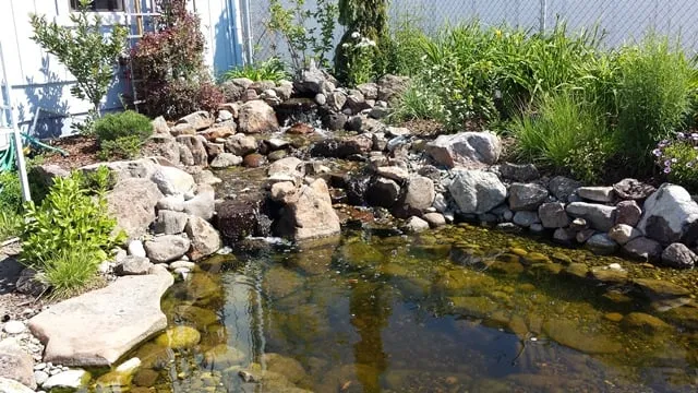 Trusted lawn mowing service for homes across Ukiah, CA - Sonoma Sweepers