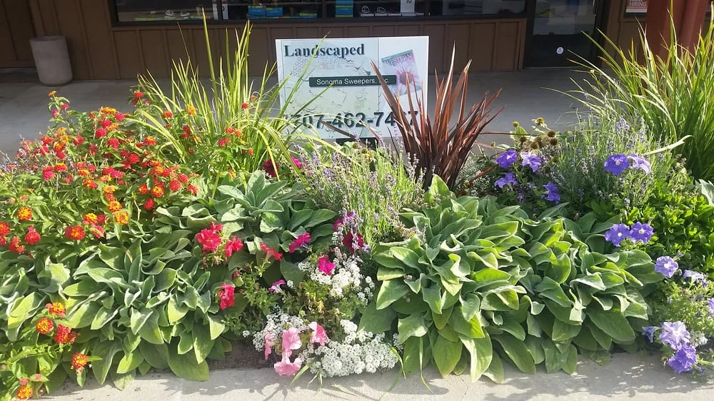 Affordable lawn care service in Ukiah, CA - Sonoma Sweepers