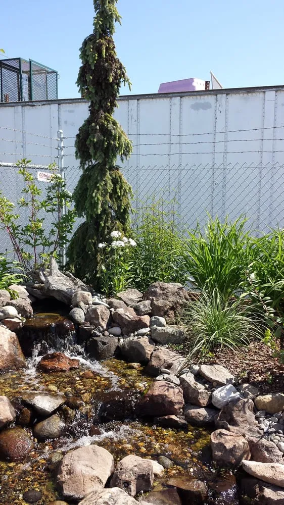 Reliable landscape design with custom design in Ukiah, CA by Sonoma Sweepers