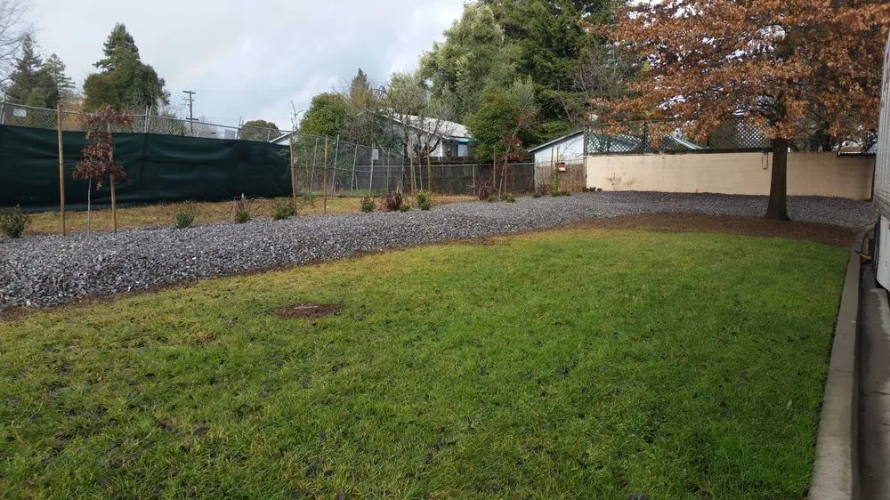 Expert lawn mowing service in Ukiah, CA - Sonoma Sweepers