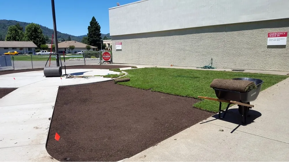 Affordable lawn care service experts serving Ukiah, CA - Sonoma Sweepers