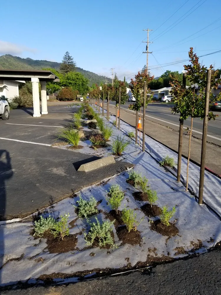 Expert landscape design experts serving Ukiah, CA - Sonoma Sweepers