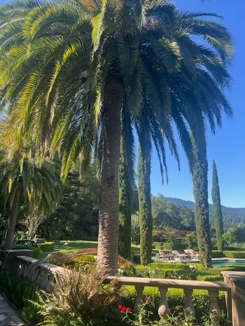 Expert lawn care service in Sonoma, CA by Sonoma Tree Service Pro