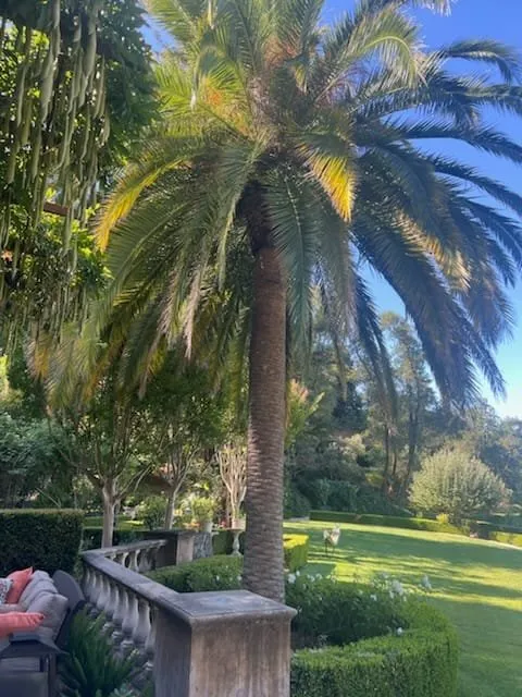 Custom lawn mowing service in Sonoma, CA - Sonoma Tree Service Pro