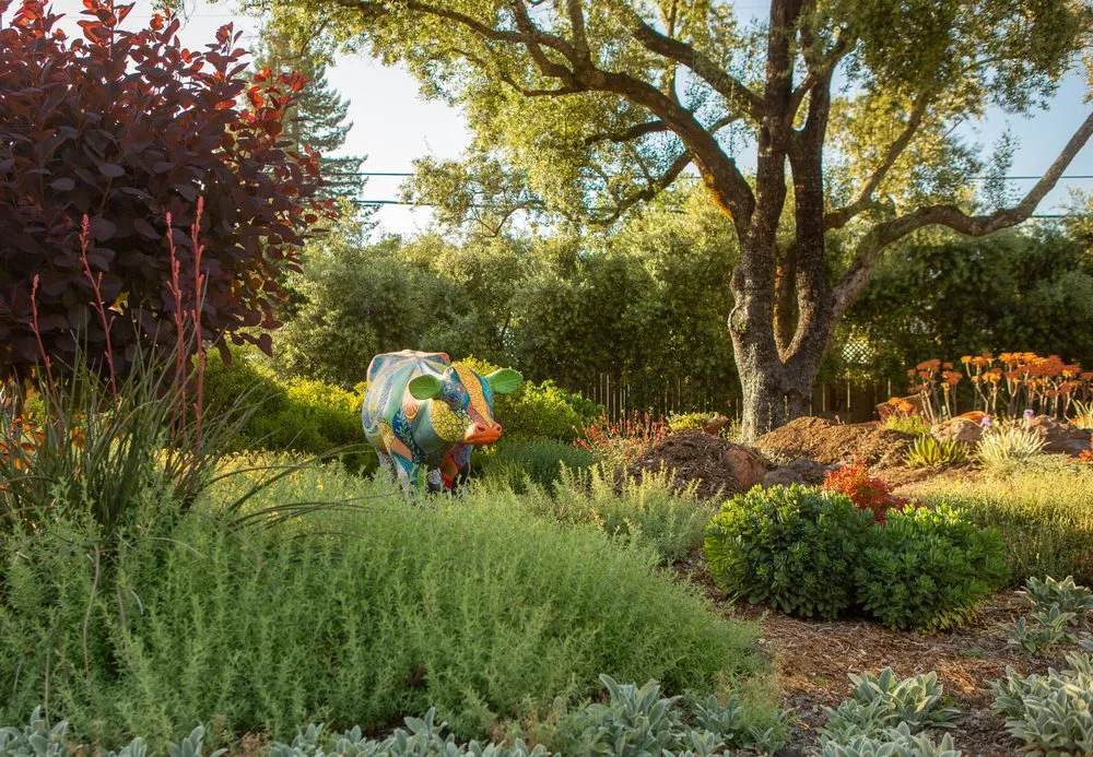 Custom landscape design experts serving Kenwood, CA - Sonoma Valley Landscape