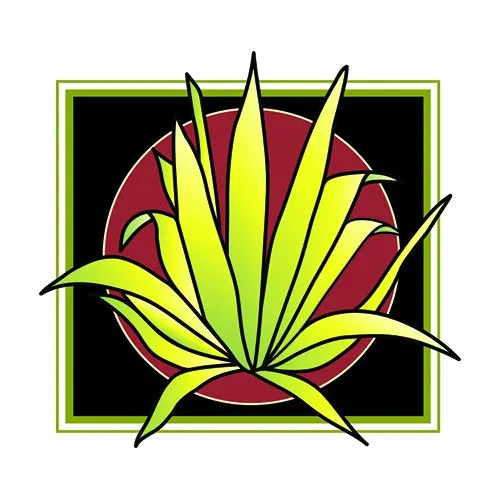 Top-rated yard maintenance in Kenwood, CA by Sonoma Valley Landscape