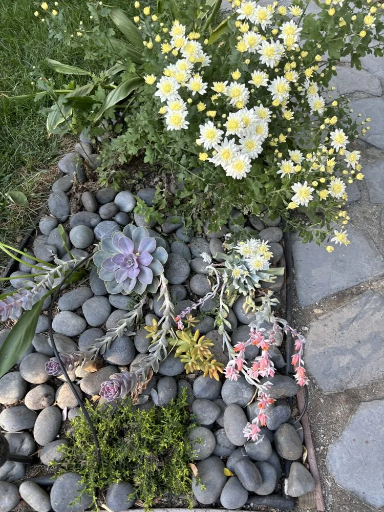 Professional lawn mowing service experts serving Petaluma, CA - Sonomarin Landscape Materials