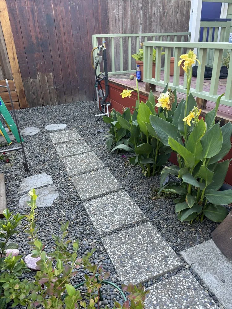 Expert lawn mowing service in Petaluma, CA - Sonomarin Landscape Materials