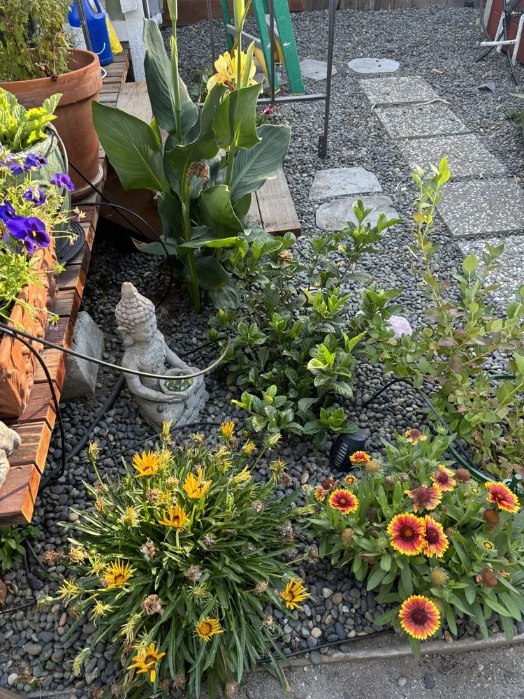 Custom residential landscaping in Petaluma, CA - Sonomarin Landscape Materials