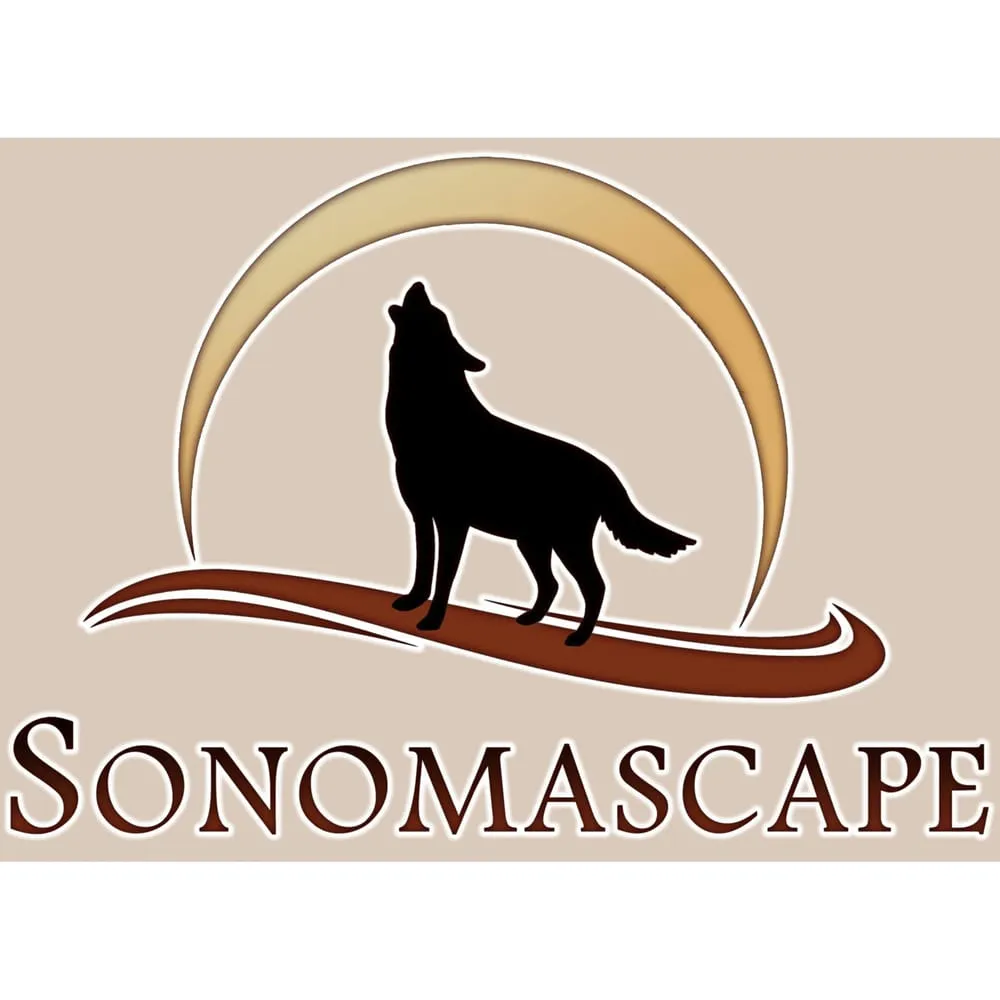 Expert yard cleanup service for beautiful yards in Green Valley, AZ by Sonomascape