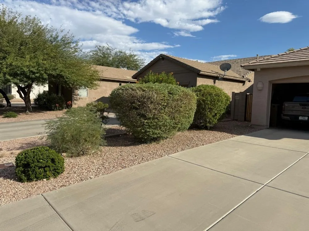 Expert residential landscaping in Buckeye, AZ by Sonora Desert Landscaping