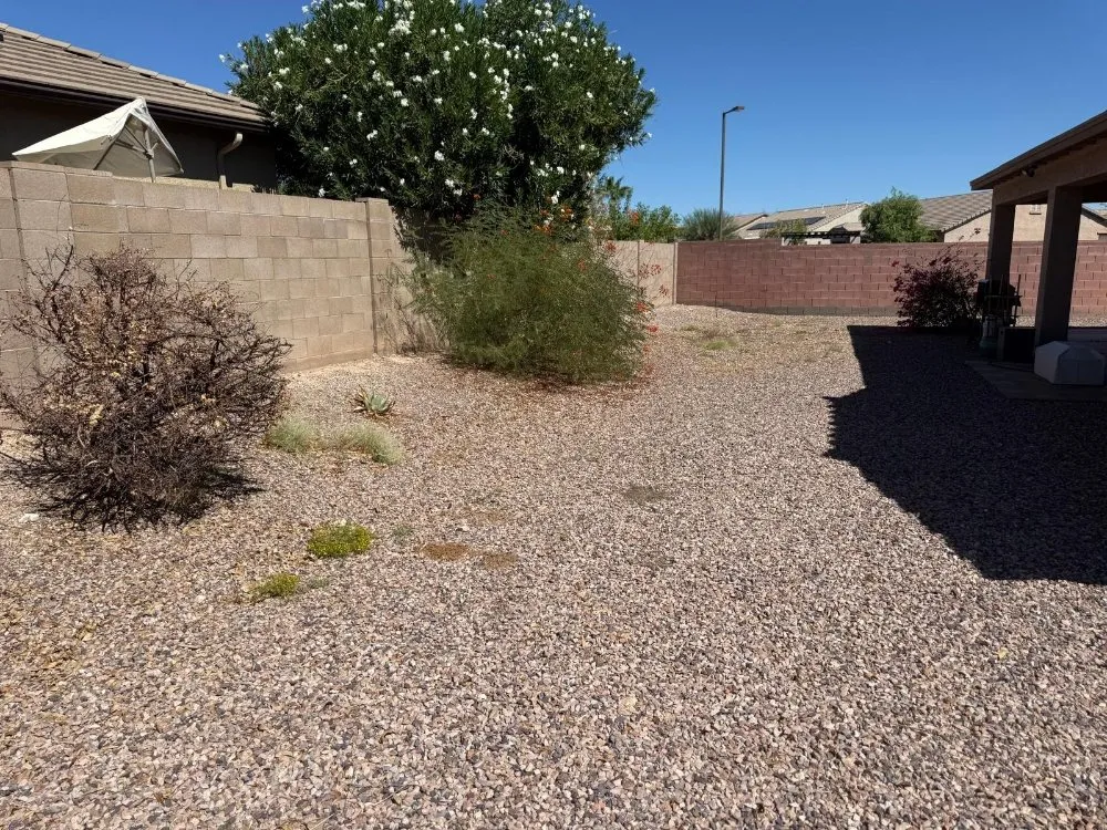 Affordable landscaping services for beautiful yards across Buckeye, AZ - Sonora Desert Landscaping