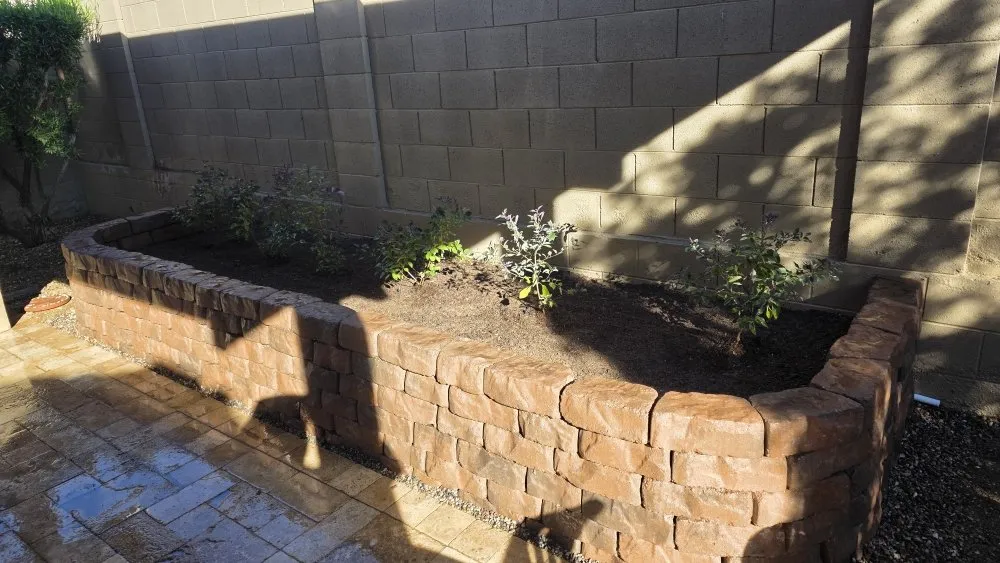 Custom landscaping services with custom design in Buckeye, AZ by Sonora Desert Landscaping