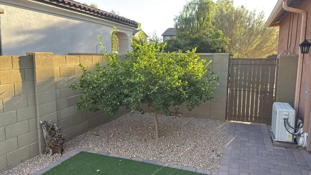Custom landscape installation in Buckeye, AZ - Sonora Desert Landscaping