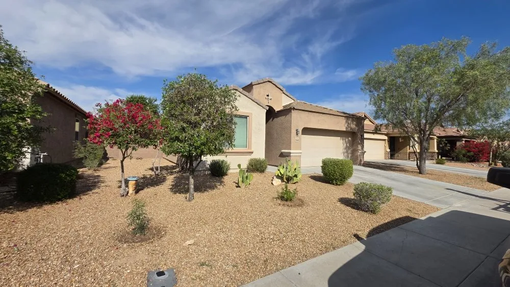 Reliable residential landscaping for beautiful yards across Buckeye, AZ - Sonora Desert Landscaping
